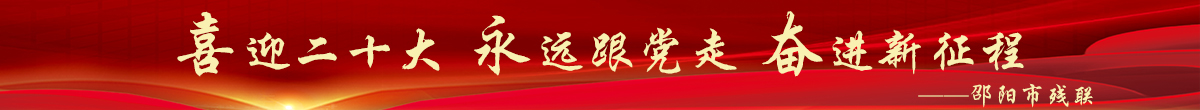 二十大残联