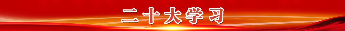 二十大学习